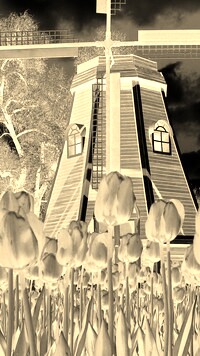 Sepia + Negatyw