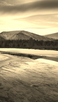 Szary + Sepia