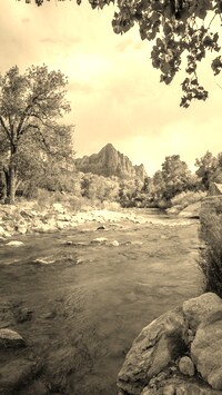 Szary + Sepia
