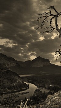 Sepia