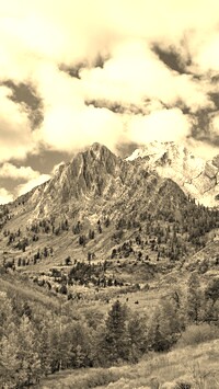 Sepia