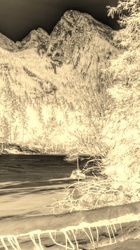 Sepia + Negatyw