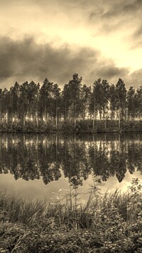 Szary + Sepia