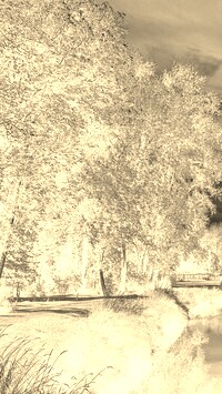 Sepia + Negatyw