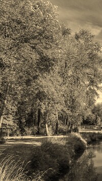 Sepia