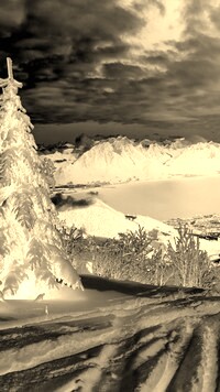 Sepia + Negatyw