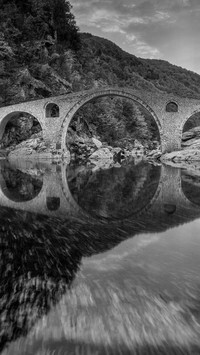 Szary