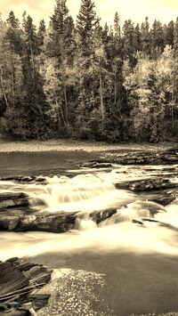 Sepia