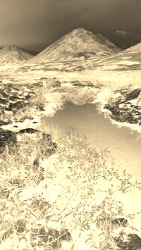 Sepia + Negatyw