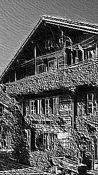 Skamielina