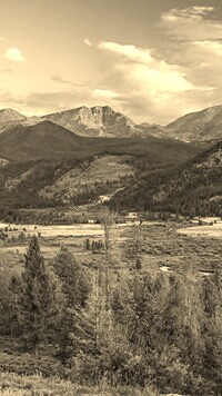 Szary + Sepia