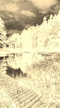 Sepia + Negatyw