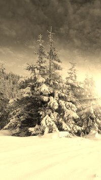 Sepia