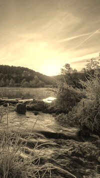 Sepia