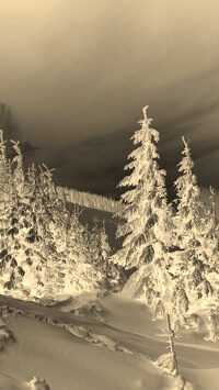 Sepia + Negatyw