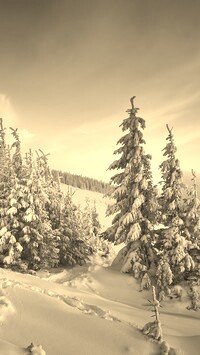 Szary + Sepia