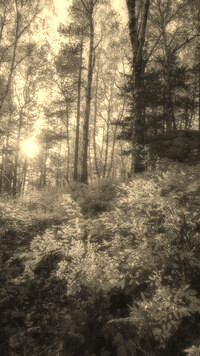 Szary + Sepia