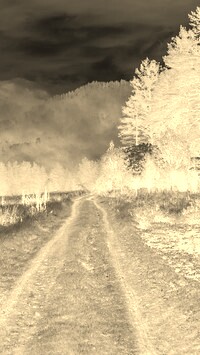 Sepia + Negatyw