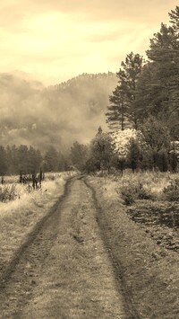 Szary + Sepia