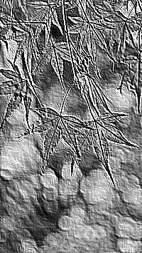 Skamielina