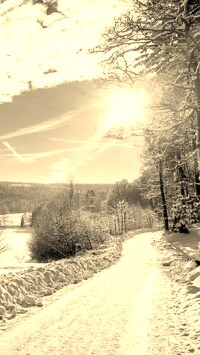 Szary + Sepia