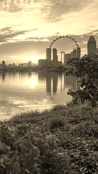 Szary + Sepia
