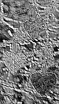 Skamielina