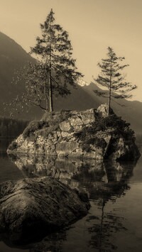 Szary + Sepia
