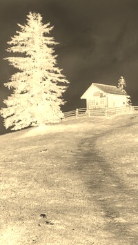 Sepia + Negatyw