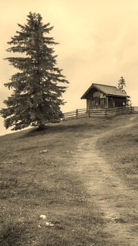 Sepia