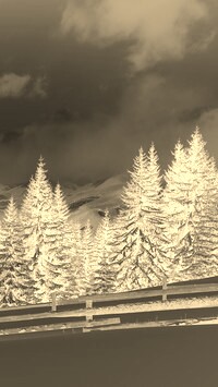 Sepia + Negatyw