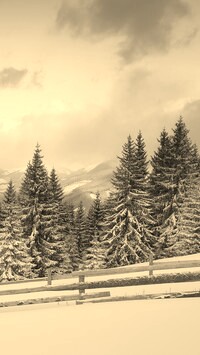 Szary + Sepia