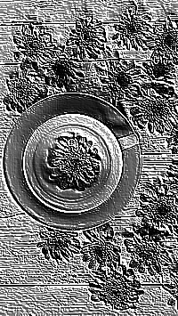 Skamielina
