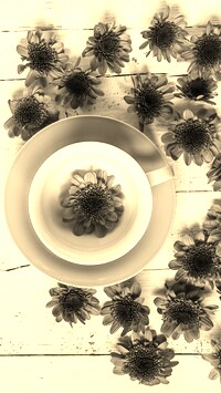 Szary + Sepia