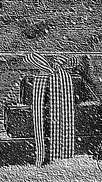 Skamielina