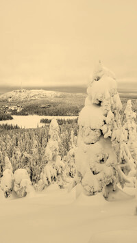 Sepia