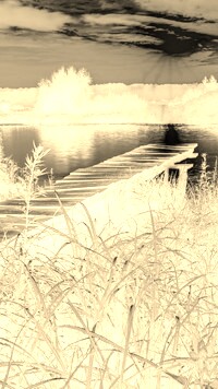 Sepia + Negatyw
