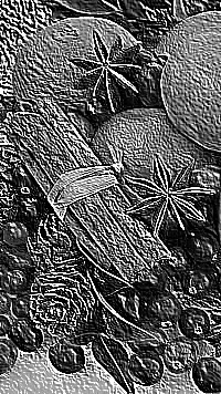 Skamielina