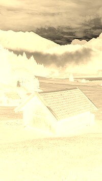 Sepia + Negatyw