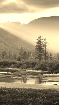 Szary + Sepia