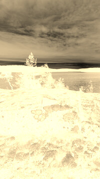 Sepia + Negatyw
