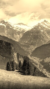 Sepia