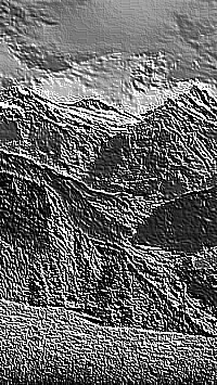 Skamielina