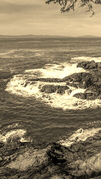 Sepia