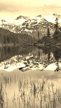 Szary + Sepia