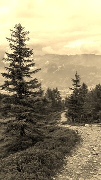 Szary + Sepia