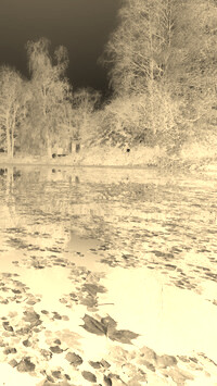 Sepia + Negatyw