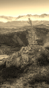 Szary + Sepia