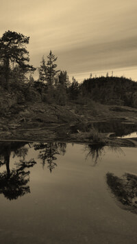 Szary + Sepia