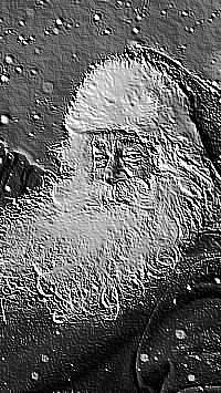 Skamielina